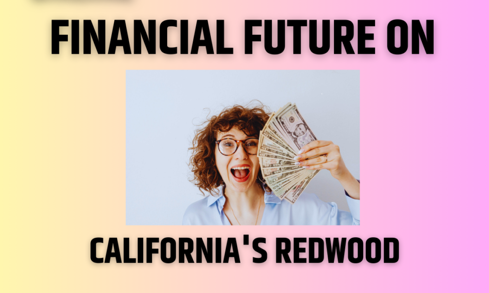 redwood coast finance