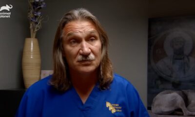 what happened to hector on dr. jeff rocky mountain vet